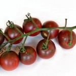 Black Cherry