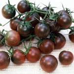 Black Cherry