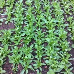 Photo0112