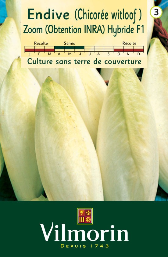 Légume Tomate de EVERETT Rusty Oxheart Heirloom organique Graines