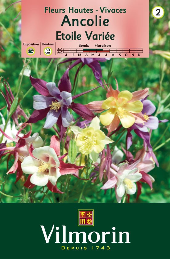 250 graines Wildflower Semences-Renoncule bulbeuse